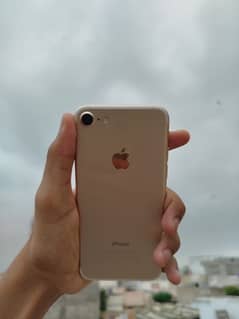 iphone 7 official pta approved 128gb