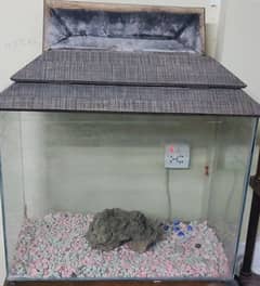 Glass Fish Aquarium/ Fish Tank