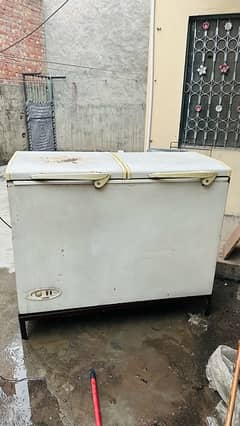 Dawlence Deep Freezer with Stand