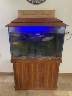 Aquarium without Fishes