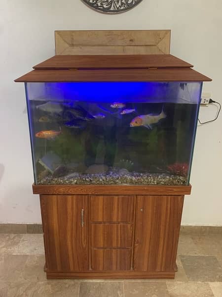 Aquarium without Fishes 0
