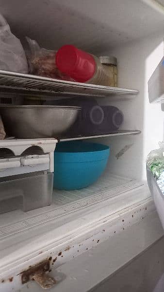 refrigerator in big size 7