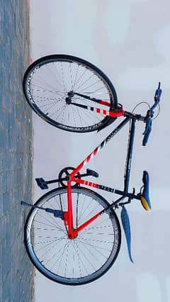 Sport imported Bicycle