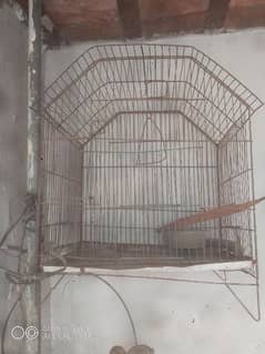 iron cage birds