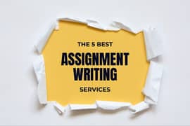 Professional Writing, Slide Creation, and Document Services