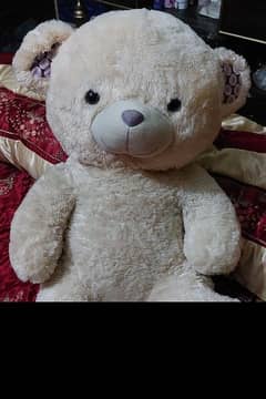 Teddy Bear Condition 10/10 Size Large