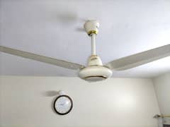 wahid ceiling fan 56 inches