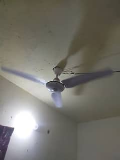 Super Asia ceiling fan