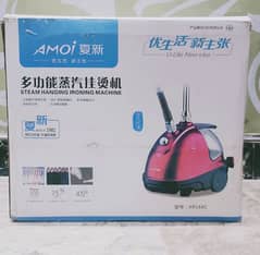 Steam iron