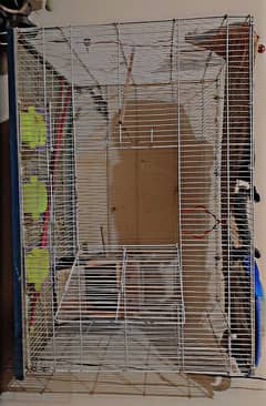 3x2 ft Cage & Breedbox for Parrots (Whatsapp: 0331 3814385)