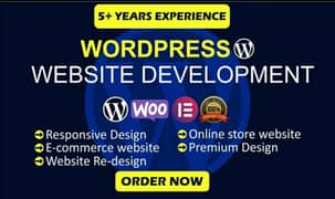 Professional WordPress Development