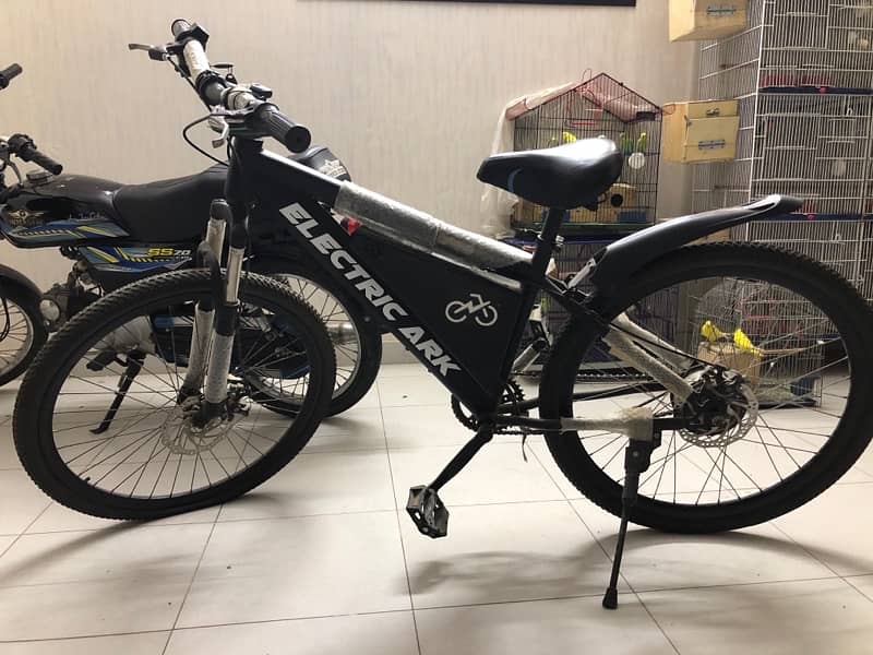 electric cycle without battery 1