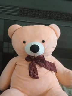 Teddy bear in good and new condition