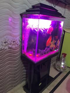 New Aquarium