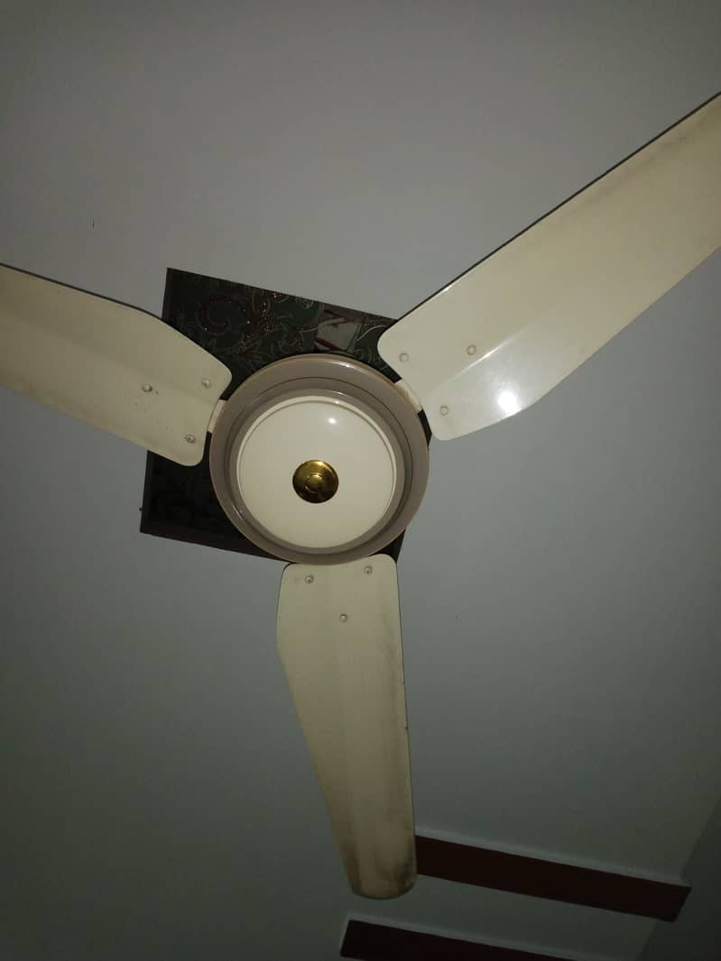 NDS fan in good condition 1