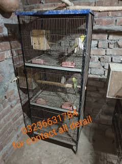 some bird and cage for sale