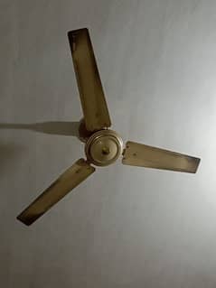 56 inch fan
