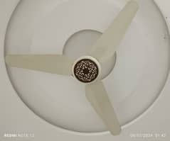 Sk Fan  Ceiling Fan Model: Executive