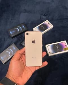 Iphone 8 pta approved