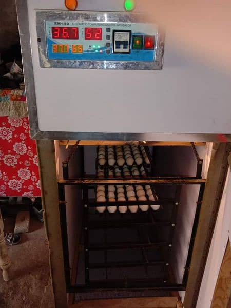 580 Full Automatic Incubator For Sale 0