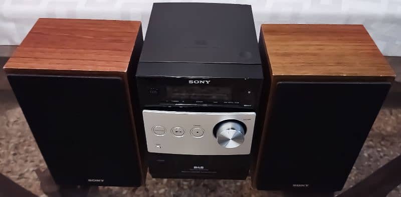 Sony Sound System Speakers 1