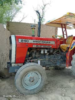 Massey 240