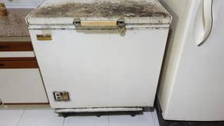 Used freezer in working condition.