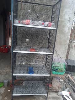 2.5 *1.5*1.5 cage for sale double angel
