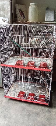 2 parrots cages