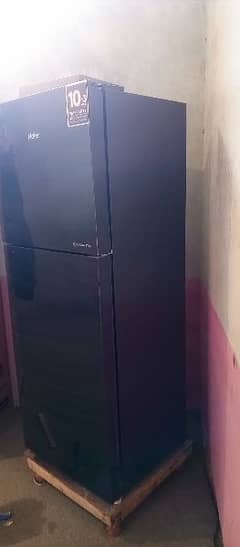 brand new haier freezer for sale