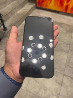 iphone 12 pro max Pta approved