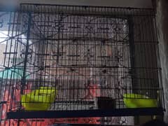 urgent sale cage 2 by 1.5 ka hy  and birds ka box b hy sath