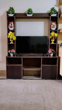 LED TV Rack