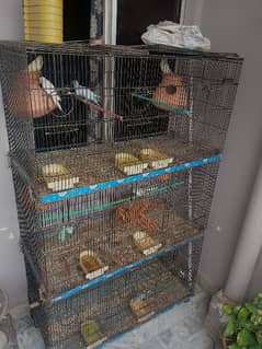 9 portion cage