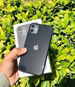 iphone11