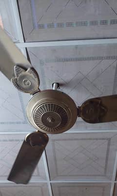 Super Delux Ceiling Fan Pure Copper 56"