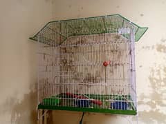 Raw Parrot Cage