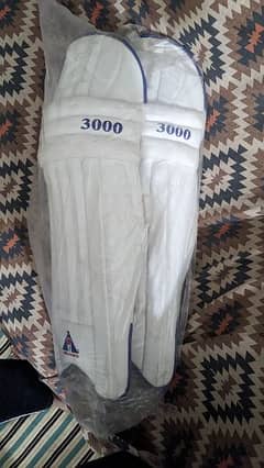 cricket kit