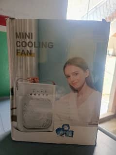 Mini Mist Fan