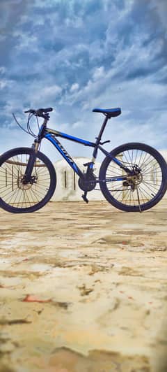 LUTA Mountain Sport Bike