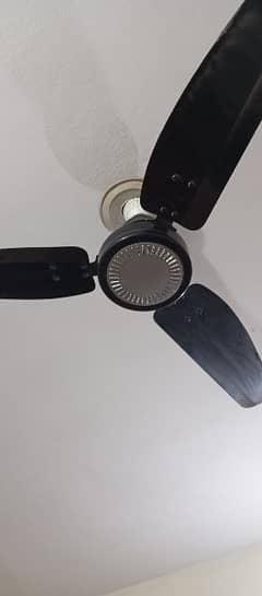 Royal ceiling fan 56 inch