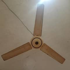 ceiling fan for sale