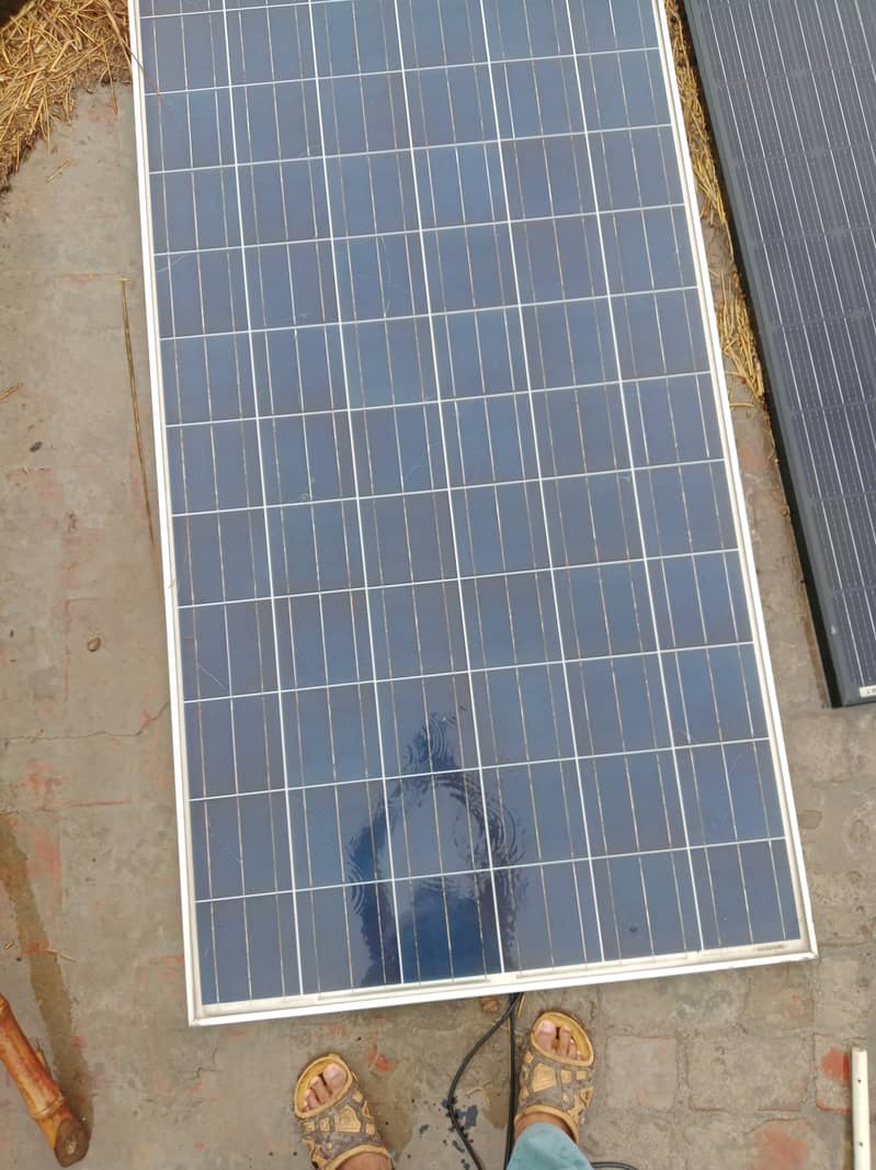 Solar panels 320watt longi solar plates 3