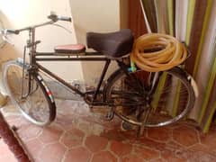 22 inch sohrab cycle