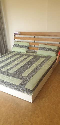 habitt floor bed with dura spring mattress