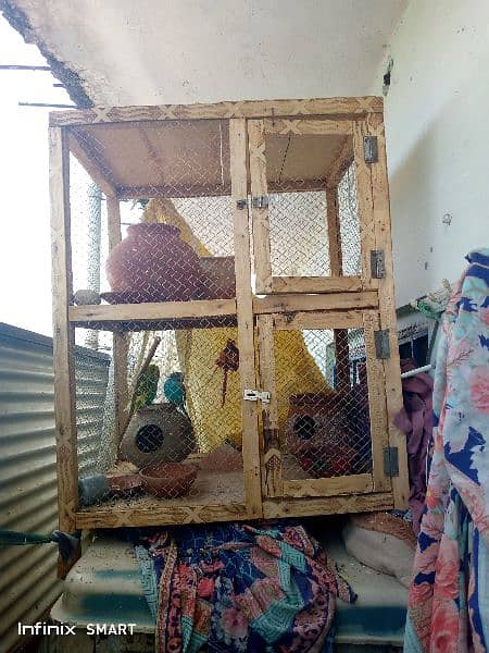 budgies brreder pair for sale in healthy condition with big cage 0