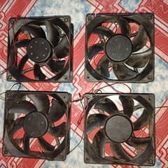 CPU fan