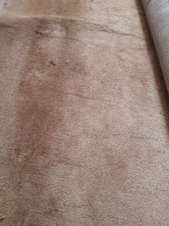used carpet