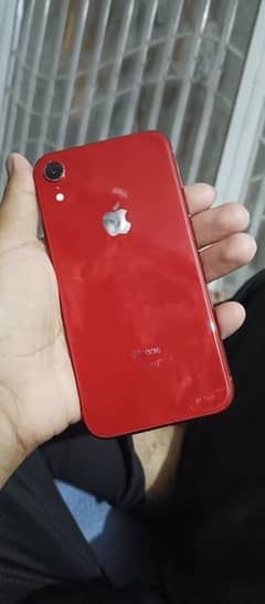 iPhone XR red colour
