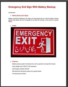 Customized Neon Sign Emergency Exit battery back up signs  LED display